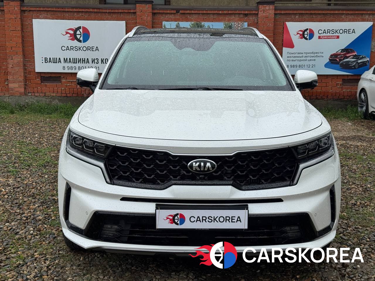 Kia Sorento 2.2 дизель (Noblesse), 2020